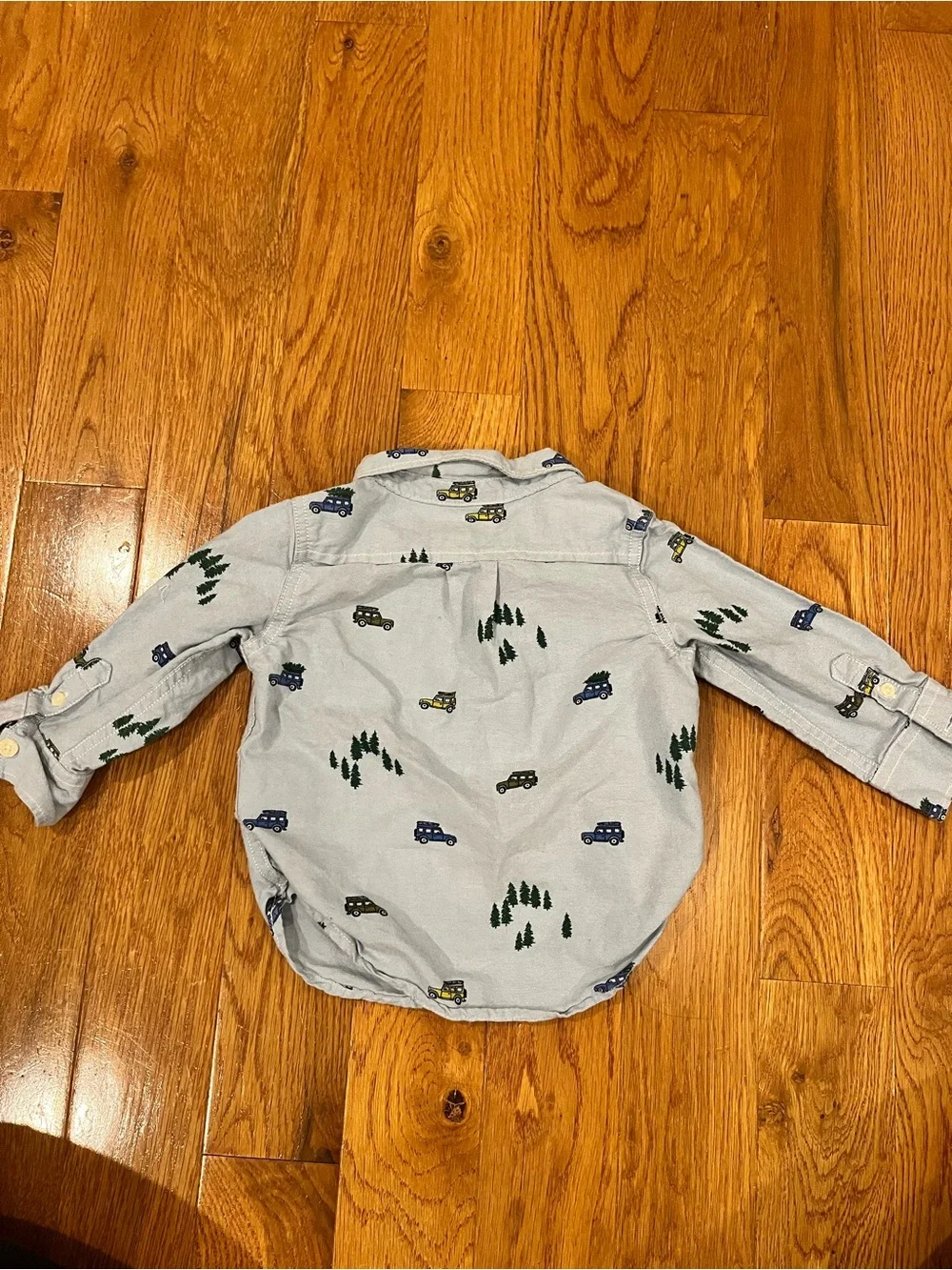 Baby Gap Holiday Oxford